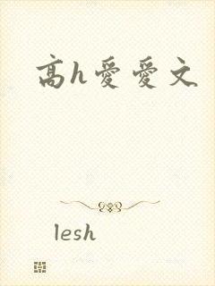 高h爱爱文