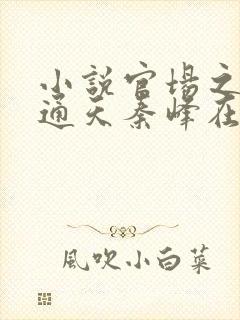 小说官场之手眼通天秦峰在线阅读
