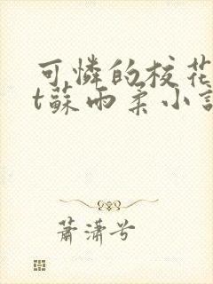可怜的校花txt苏雨柔小说阅读全文