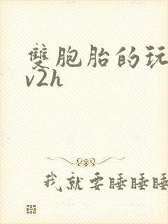 双胞胎的玩具1v2h