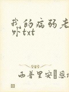 我的病弱老婆番外txt封面