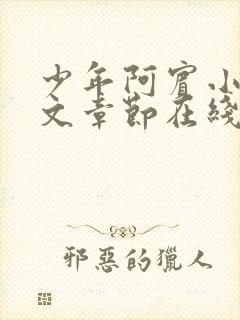 少年阿宾小说全文章节在线观看封面