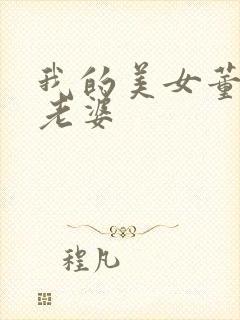 我的美女董事长老婆