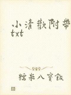 小清欢附带番外txt