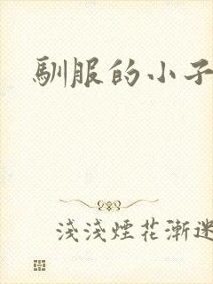 驯服的小子4