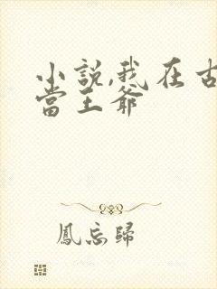 小说,我在古代当王爷