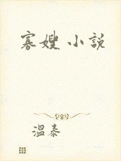 寡嫂 小说封面
