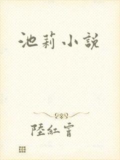 池莉小说封面