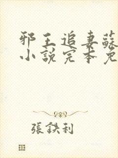 邪王追妻苏小暖小说完本免费阅读封面