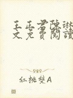 王正君陈琳洁全文免费阅读最新章节封面