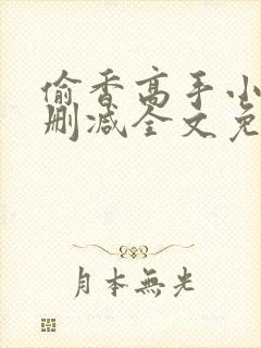 偷香高手小说无删减全文免费封面