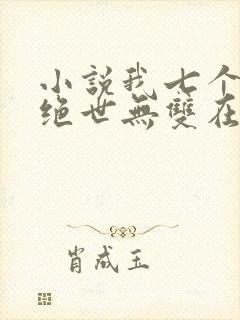 小说我七个姐姐绝世无双在线阅读封面