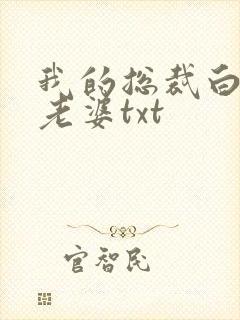 我的总裁白富美老婆txt