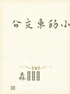 公交车的小说