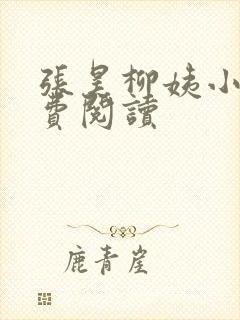 张昊柳姨小说免费阅读封面