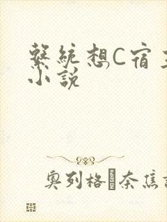 系统想C宿主的小说
