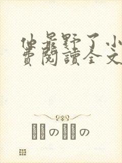 他最野了小说免费阅读全文