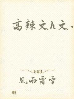 高辣文h文小说