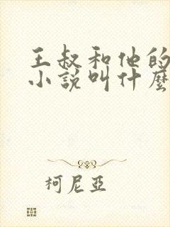 王叔和他的儿媳小说叫什么封面
