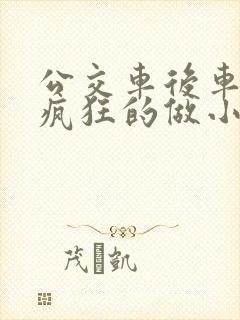 公交车后车座的疯狂的做小封面