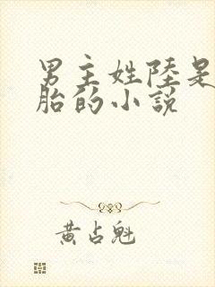 男主姓陆是双胞胎的小说
