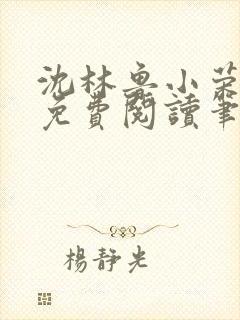 沈林鲁小荣小说免费阅读笔趣阁
