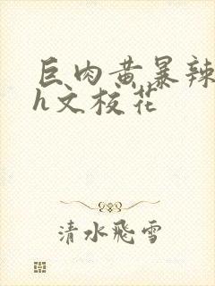 巨肉黄暴辣文高h文校花
