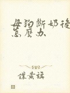 母狗断奶后奶涨怎么办
