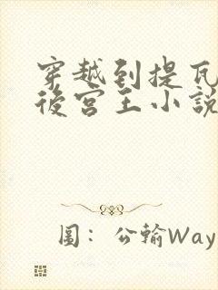 穿越到提瓦特的后宫王小说免费阅读