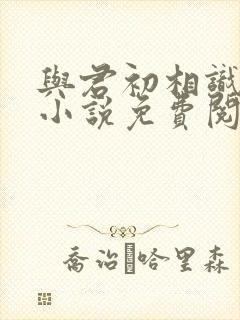 与君初相识原著小说免费阅读