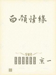 白领情缘封面