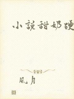 小说甜奶硬喝