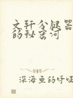 文轩分腿器河马的秘密河