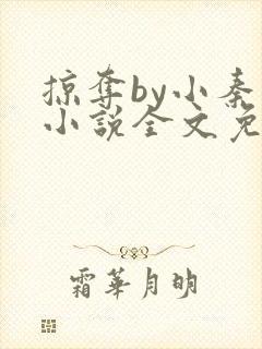 掠夺by小秦子小说全文免费阅读封面