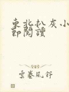 东北扒灰小说分节阅读