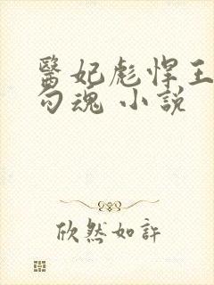 医妃彪悍王爷勾勾魂 小说