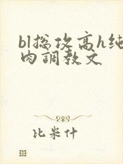 bl总攻高h纯肉调教文