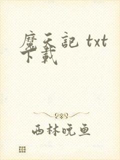 魔天记 txt下载