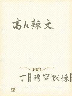 高h辣文