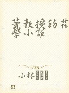 萧教授的花式教学小说