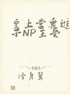 皇上当众进入太子NP主受