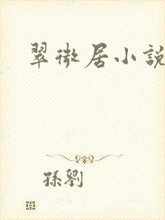 翠微居小说
