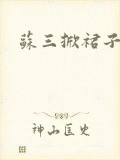 苏三掀裙子封面