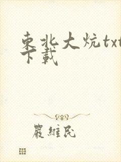 东北大炕txt下载封面