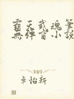 霸天武魂笔趣阁无弹窗小说