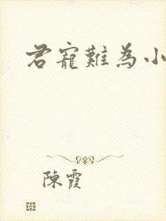 君宠难为小说