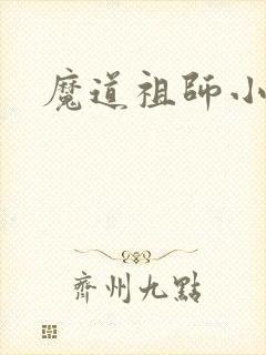 魔道祖师小说