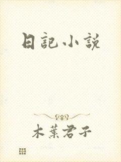 日记小说封面