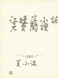 江晓萍小说全文免费阅读封面