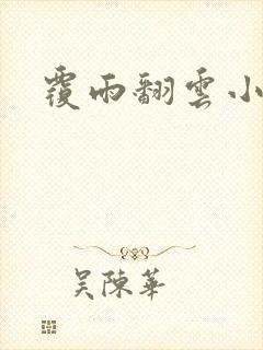 覆雨翻云小说